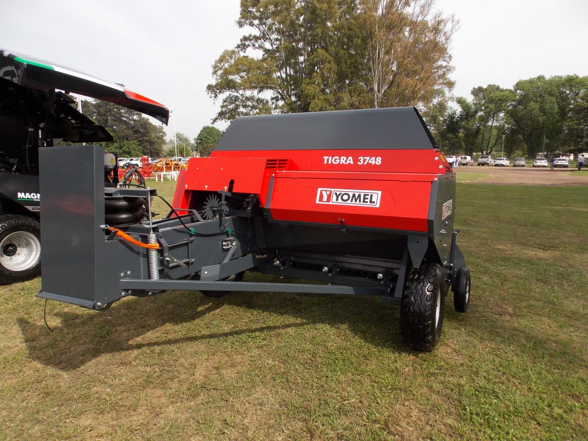 Tigra 3748